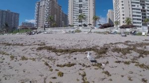 Пляж Майями-Miami США Флорида