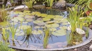 Как оформить водоём на участке. 50 идей ландшафтного дизайна