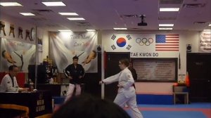 LVFF TAEKWONDO DOC 2015 (final)