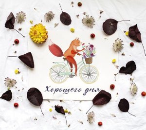 С добрым утром и чудесным днем! Пусть сегодня исполнится все, что захочется