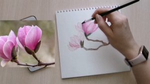Рисуем поэтапно. Рисуем пошагово Магнолию. Быстрый скетч. Акварельные карандаши