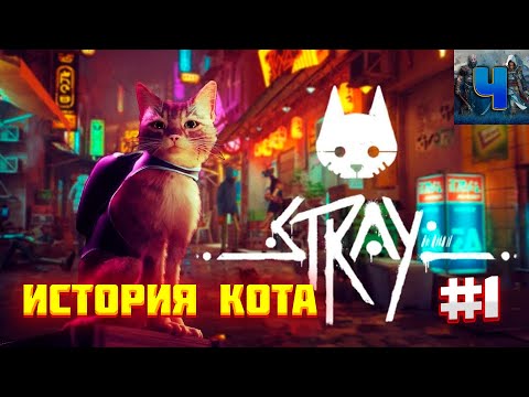 Stray/Обзор/Полное прохождение #1/История кота