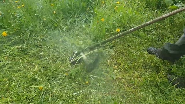 Придомовая территория. Окос!!! п.Зеленоградский смотреть онлайн