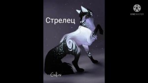 Какой ты волк по зз🐾