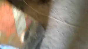 Замена сальника бортовой и полуоси на Case