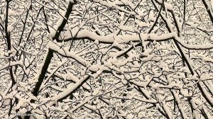 БЕЛЫЙ ШУМ ДЕКАБРЯ.