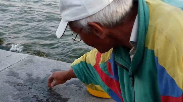 Как заработать 100 гривен за 1 минуту! смотреть онлайн