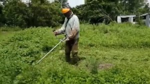 (#224) 12.07.21 Покос травы бензокосилкой в деревне! (часть 2).
