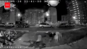 Стая собак напала на девушку в Красноярске