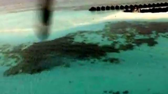 Maldivian Air Taxi Start смотреть онлайн