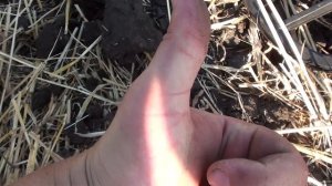 Коп по битым местам и находки все равно есть.  Коп с Minelab Equinox, XP ORX, и Makro Multi Kruzer