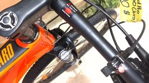 Twitter leopard pro 3*9 រង្វង់29 size 15.5” carbon frame !