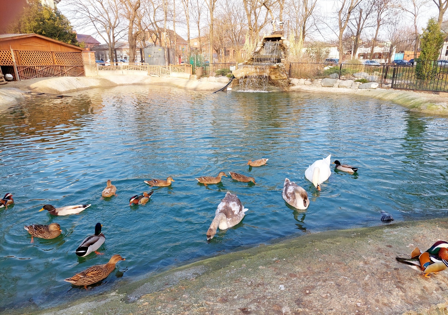 Ейск: живой уголок, Собор Архангела Михаила!