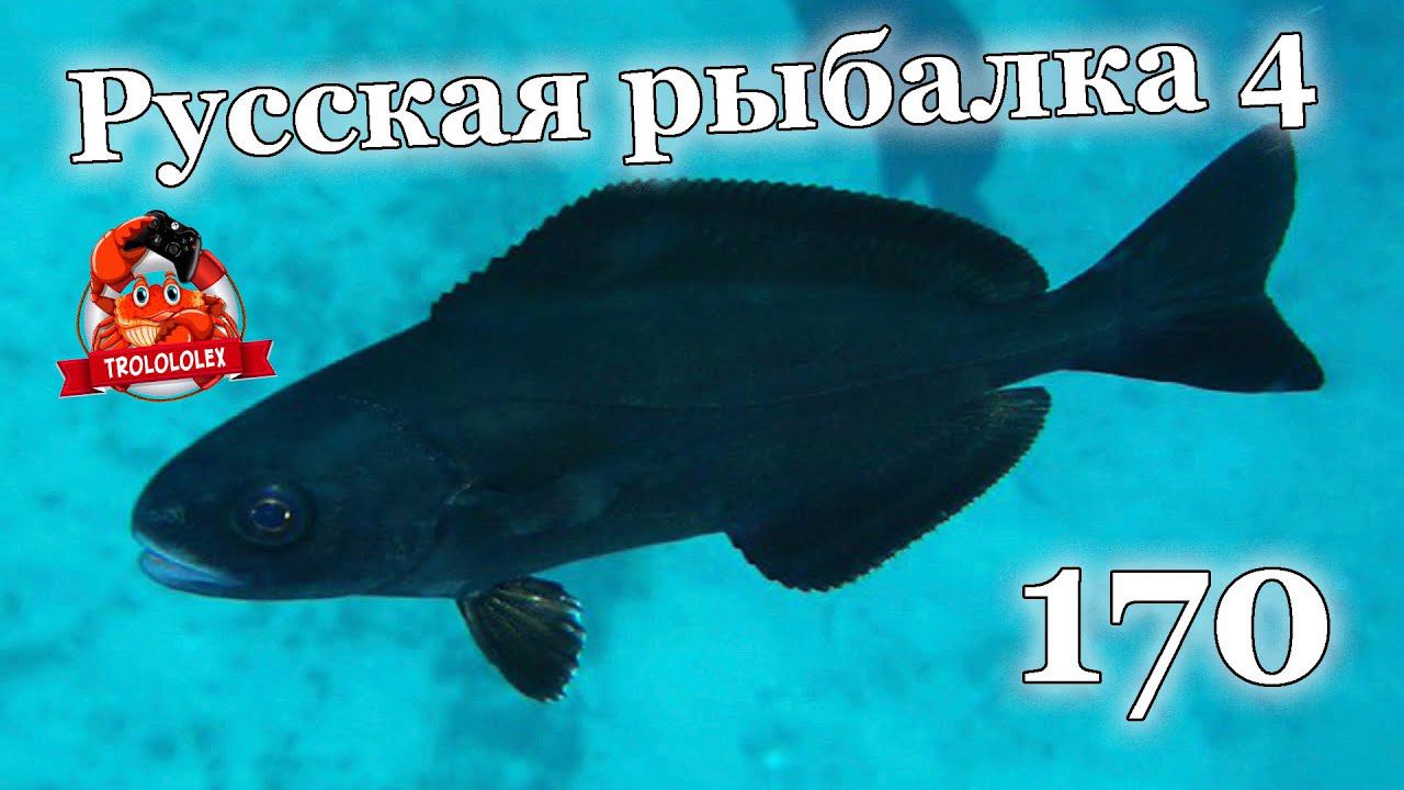 Русская рыбалка 4 170 банка Палтус синекорый смотреть онлайн