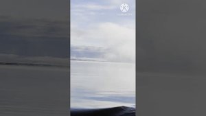 Из репертуара Сарданы Осиповой