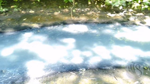 #Экология р. Лесная - Поиск источника загрязнения. смотреть онлайн