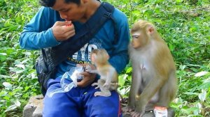 Wow! Lucie is very intelligent & too much hungry she jump to drink milk in  Yat's hand