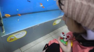 VLOG Надо же такое натворить