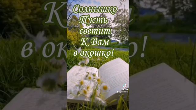 Да, зарасти оно всё ромашками!