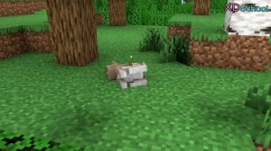 Monster School : Season 1 All Episode - Minecraft Animation