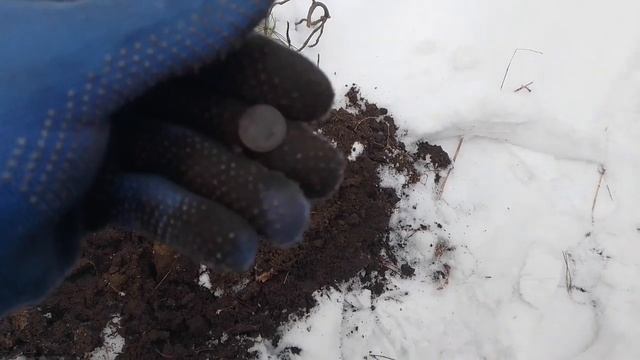 Монеты под снегом. Коп с Nokta makro simplex + (нокта макро симплекс плюс) смотреть онлайн