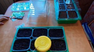 Петуния крупноцветковая "Саксес 360" посев!!!!!!!!