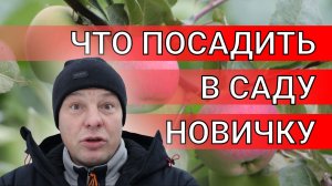 огород первый год, что посадить новичку в саду, какие плодовые деревья и кустарники