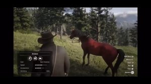 Rare horse locations rdr2