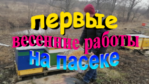 Первые весенние работы на пасеке