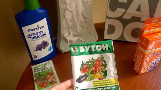 Покупки из Домового и Calzedonia. смотреть онлайн