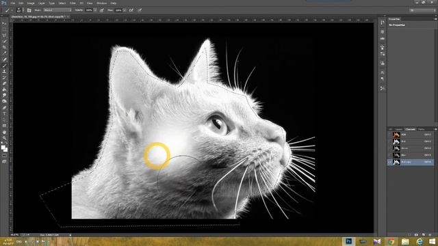 HOW TO USE ALPHA CHANNEL IN PHOTOSHOP CC TUTORIAL