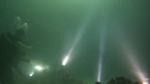 манта и Кузя