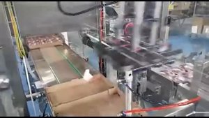 Автоматический формирователь лотков с укладкой роботом йогуртов
