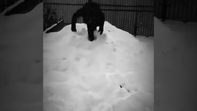 Зима на даче смотреть онлайн