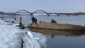 В Рыбинске из-за маловодья на Волге активизировались искатели кладов