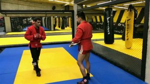 Серия ударов. Комбинации ударов рук и ног. Серия ударов в боевом самбо.