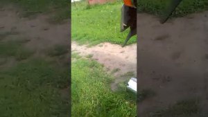 Ява (Без флейт)