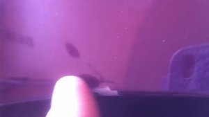 удаление вмятин без покраски крыло HYUNDAI SOLARIS часть 1