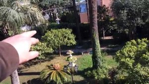 Вилла у моря и пляжа в Италии - Санремо купить виллу с садом