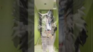 |•Ночь, лестница, шаги•| ~страшилка~ ¢^¢WildCraft¢^¢