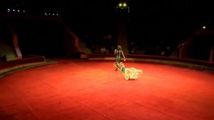 В цирке новогоднее шоу. Это было круто.