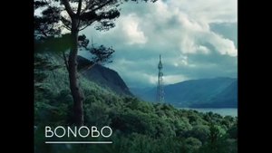 Bonobo - Kong