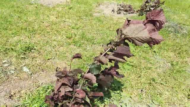 Горизонтальные отводки на Академике Яблокова смотреть онлайн