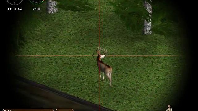 Hunting Unlimited 5 смотреть онлайн