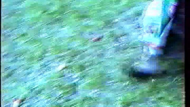 Троица 1992год.