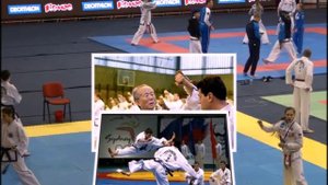 Красота Тхэквондо