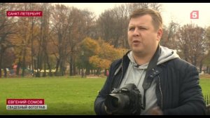 Медный всадник закрывается на реставрацию