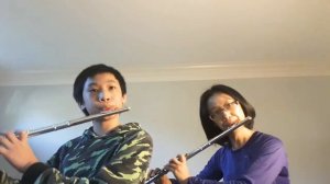 Chamber Music Series☆F.Schubert: Unfinished Symphony [Theme] for Flute duet