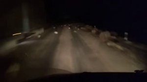 Перекати поле в степях Казахстана