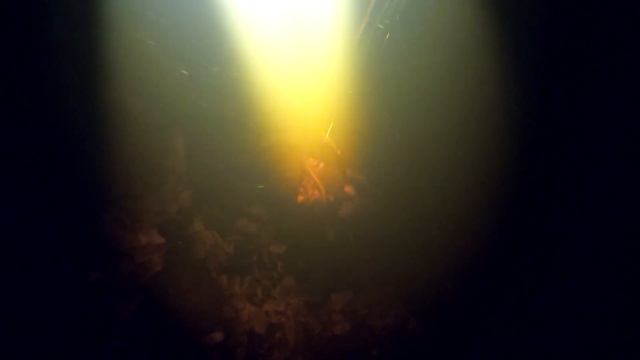 Подводная охота Западная Двина 1 мая 2020 смотреть онлайн